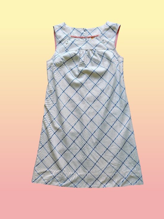 Maeve Dresses & Skirts - Maeve Anthropologie Blue White Windowpane Plaid Sleeveless Pinafore Dress